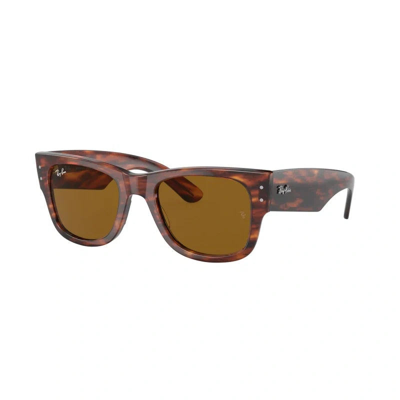 Ray Ban Eyewear & Sunglasses