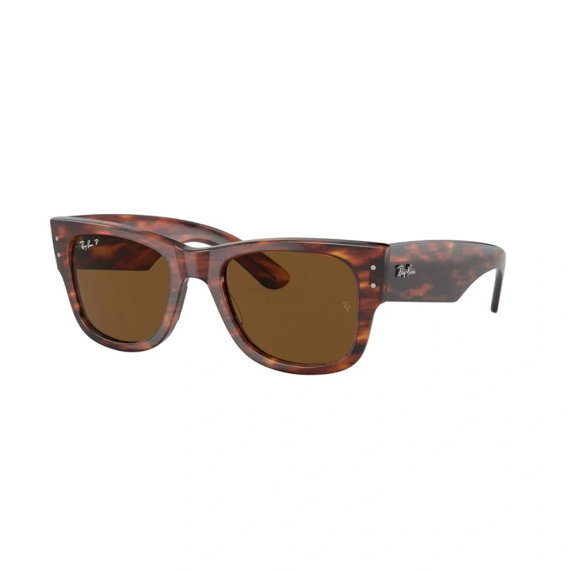 Ray Ban Eyewear & Sunglasses