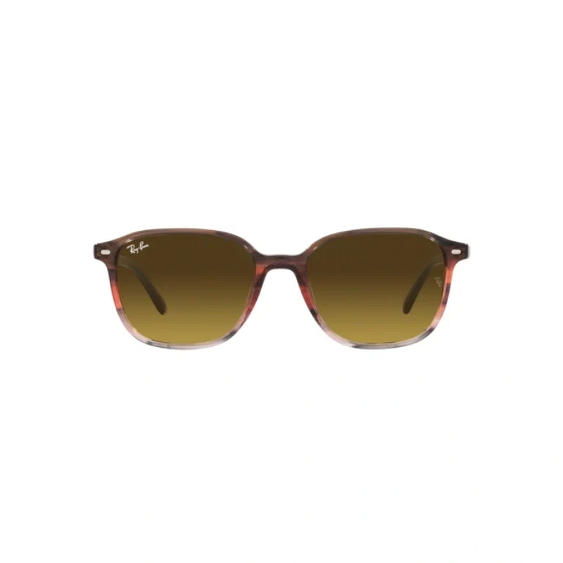 RAY BAN  0RB 2193 - Dayal Opticals   