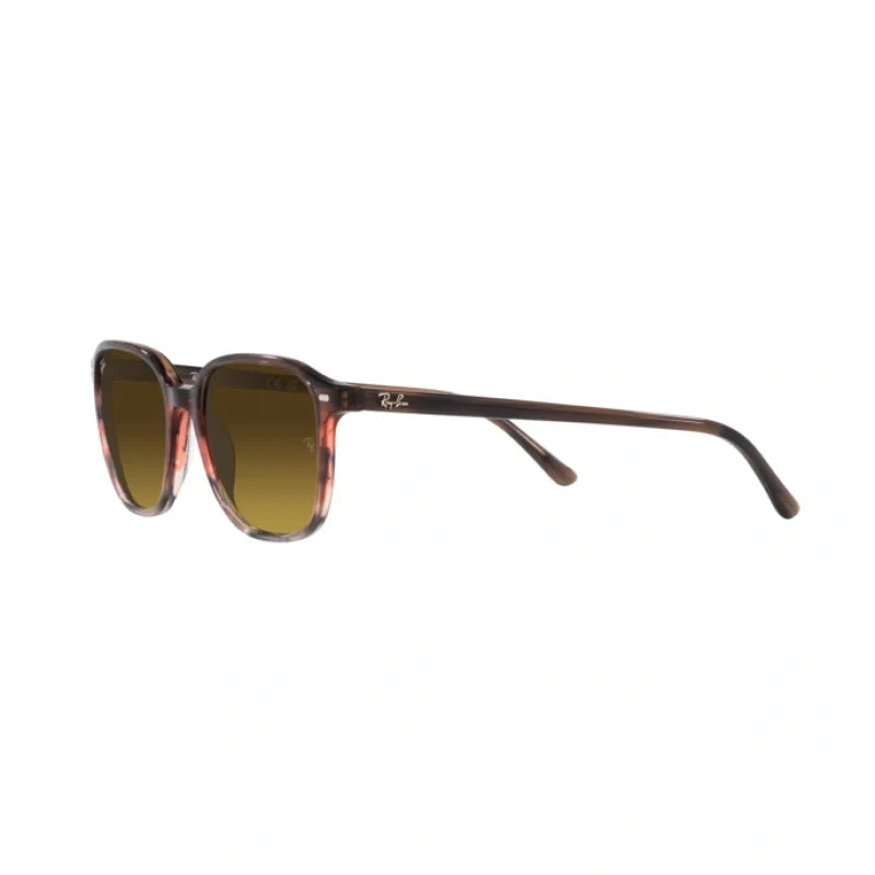 RAY BAN  0RB 2193 - Dayal Opticals   