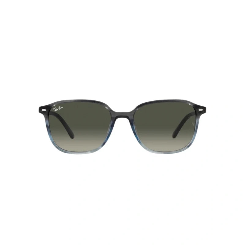 RAY BAN  0RB 2193 - Dayal Opticals   