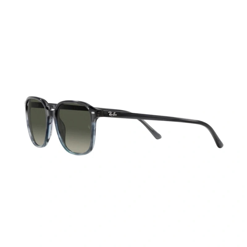 RAY BAN  0RB 2193 - Dayal Opticals   