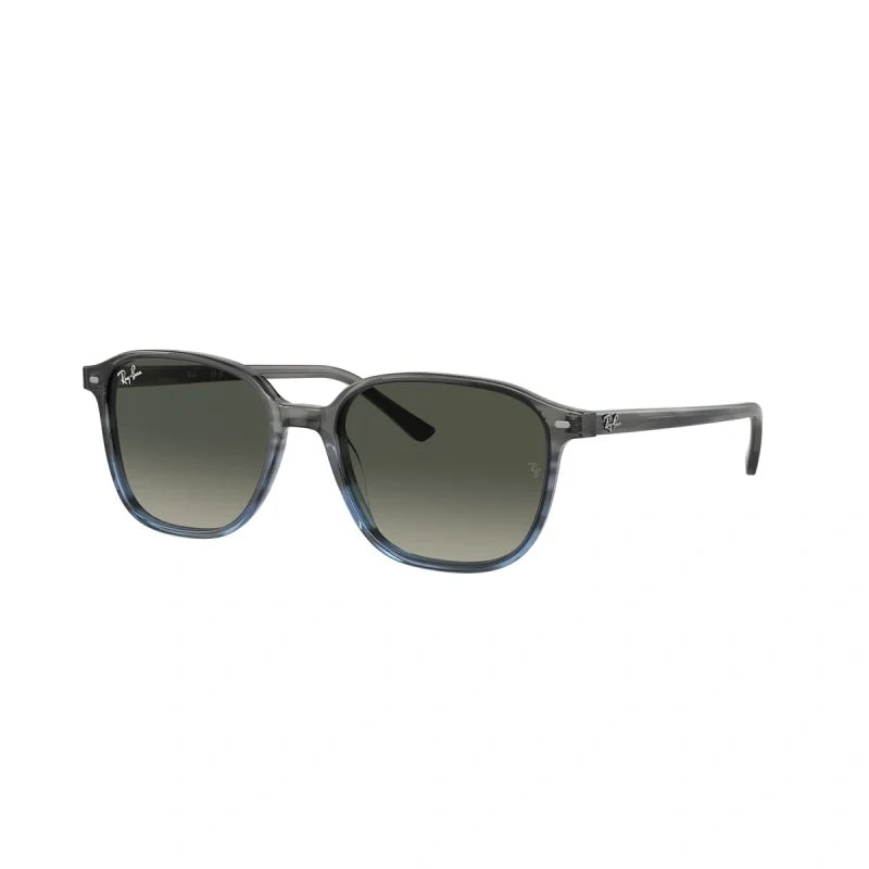RAY BAN  0RB 2193 - Dayal Opticals   