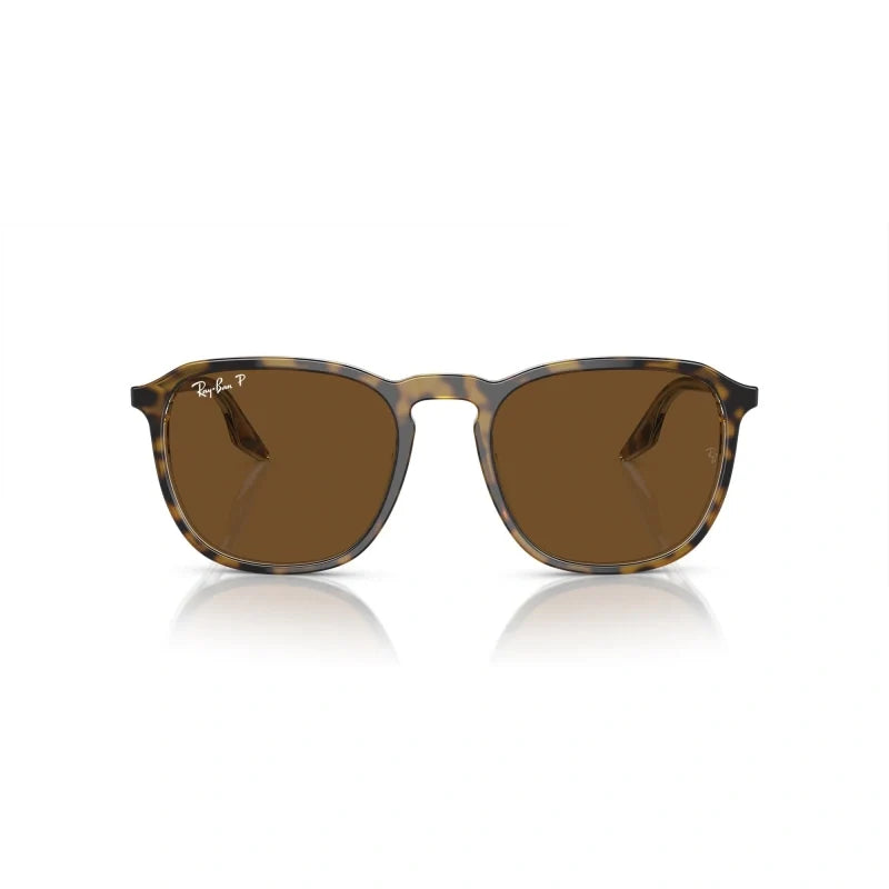 Ray Ban Eyewear & Sunglasses