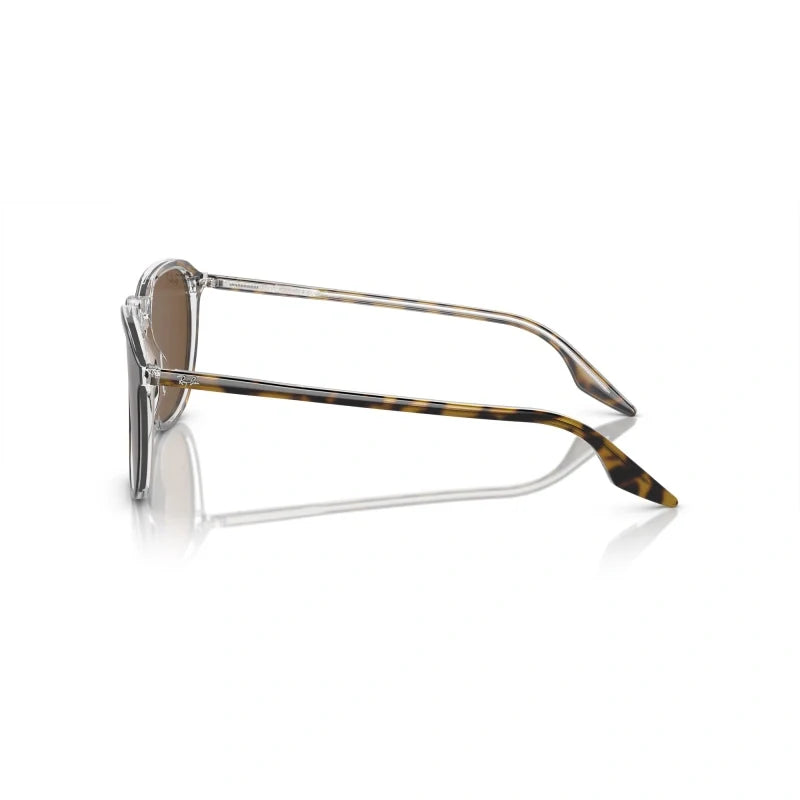 Ray Ban Eyewear & Sunglasses