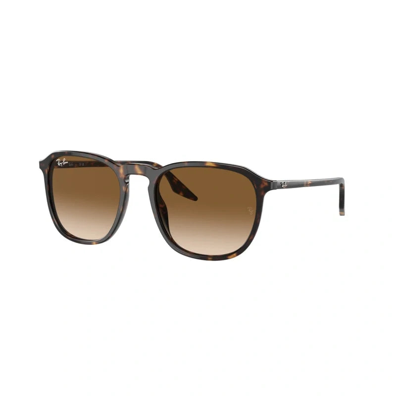 Ray Ban Eyewear & Sunglasses