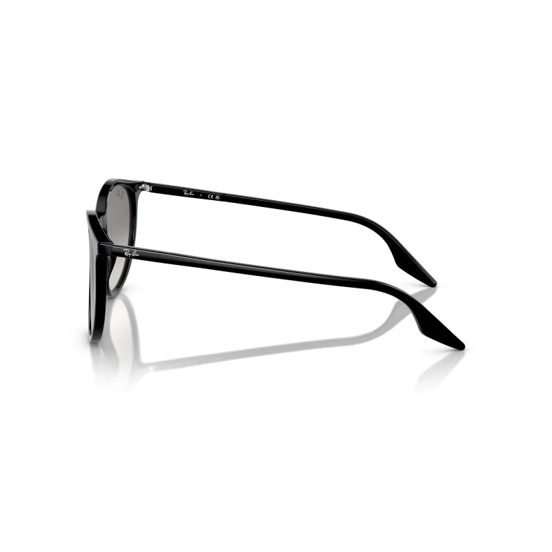 Ray Ban Eyewear & Sunglasses