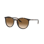 Ray Ban Eyewear & Sunglasses