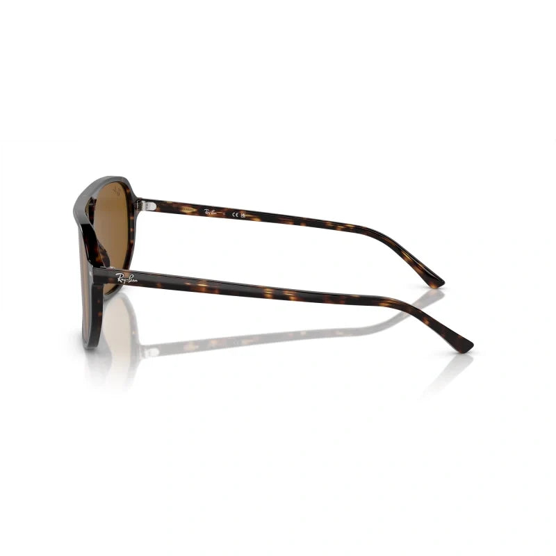 Ray Ban Eyewear & Sunglasses