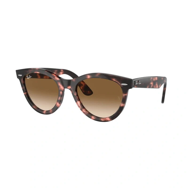 Ray Ban Eyewear & Sunglasses