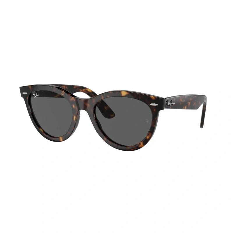 Ray Ban Eyewear & Sunglasses