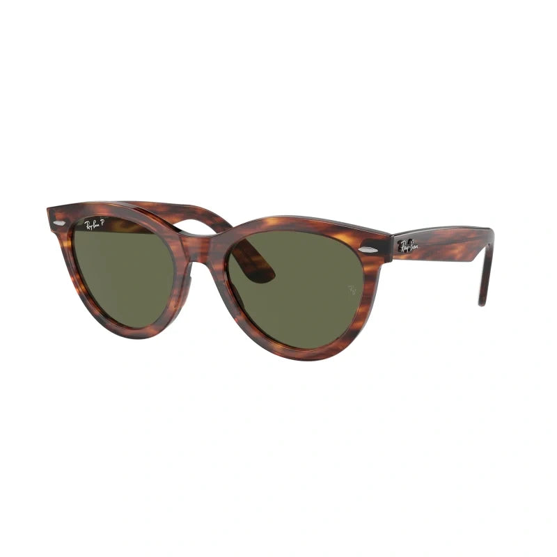 Ray Ban Eyewear & Sunglasses