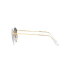 RAY BAN  0RB 3447JM - Dayal Opticals   