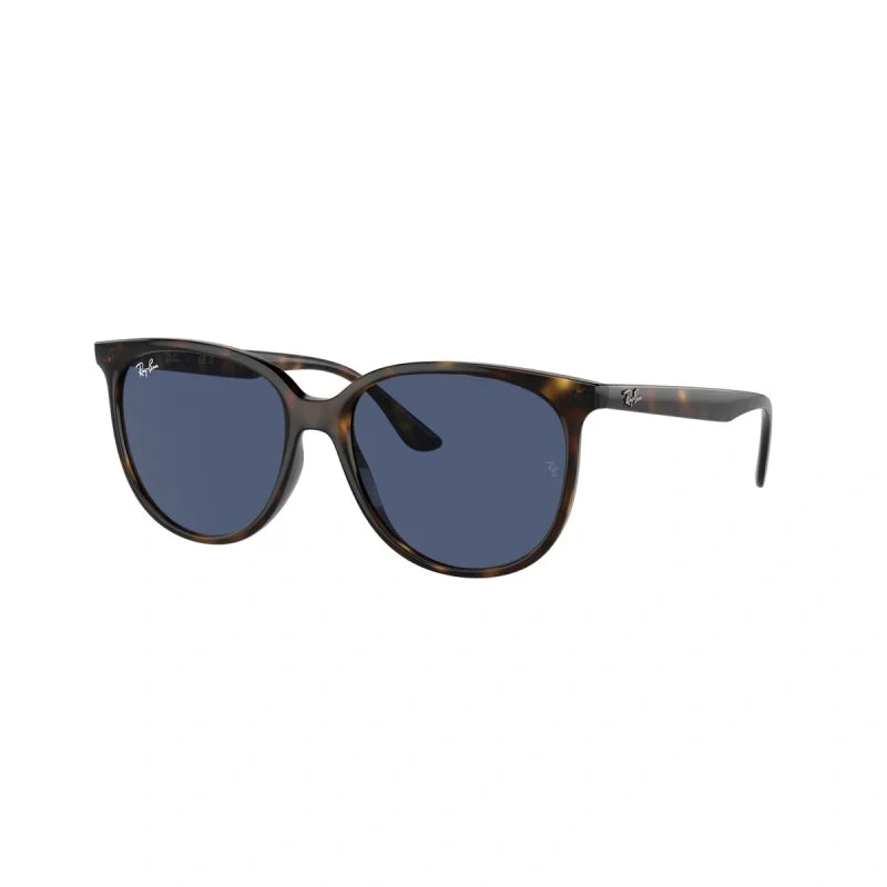 RAY BAN  0RB 4378 - Dayal Opticals   