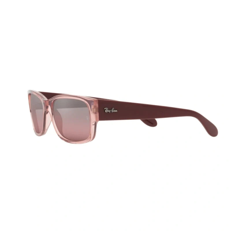 Rayban 4388 Wayfarer Full Rim Sunglasses