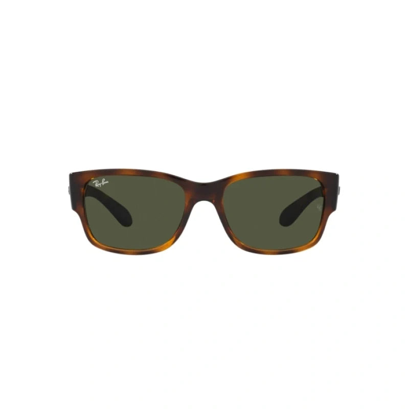 Rayban 4388 Wayfarer Full Rim Sunglasses