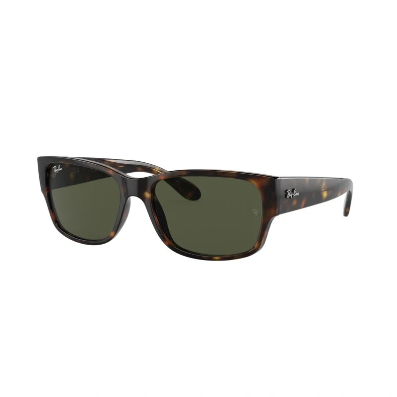 Rayban 4388 Wayfarer Full Rim Sunglasses