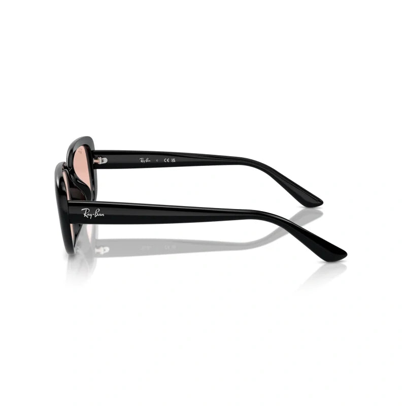 Ray Ban Eyewear & Sunglasses