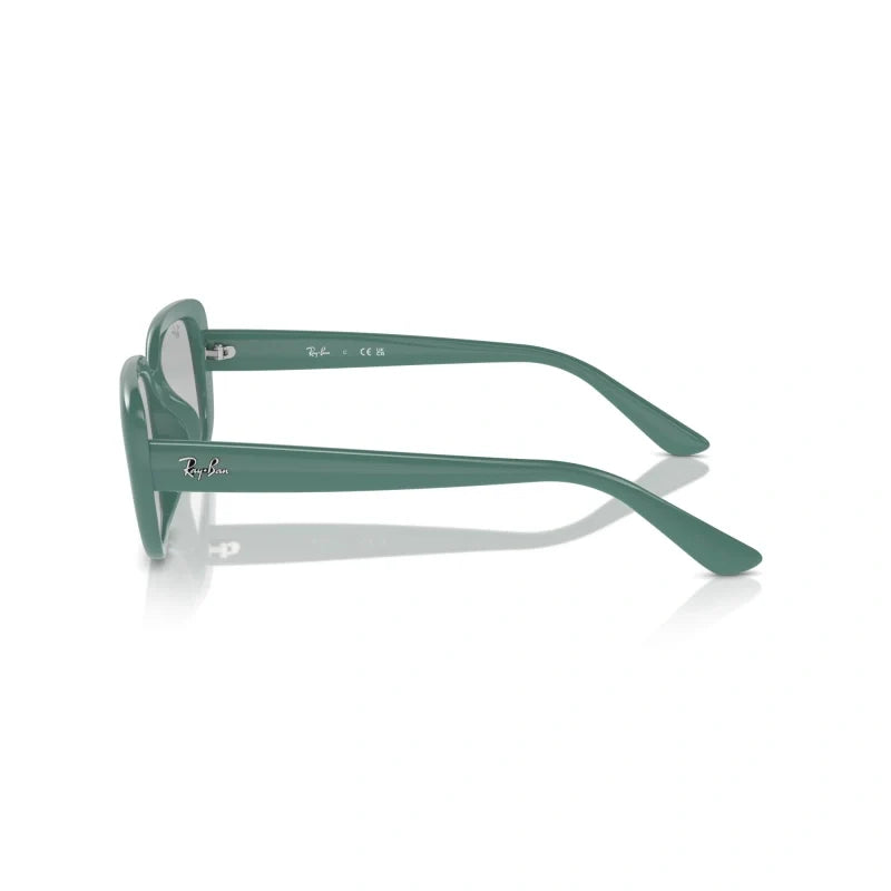 Ray Ban Eyewear & Sunglasses