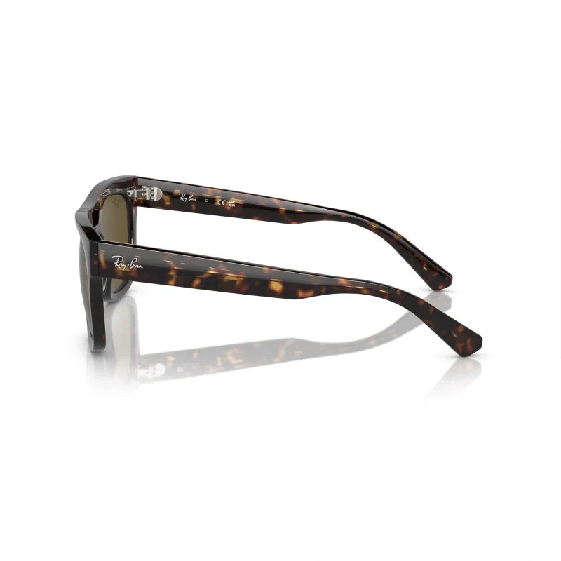 Ray Ban Eyewear & Sunglasses