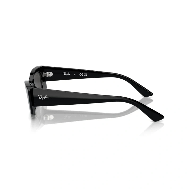 Ray Ban Eyewear & Sunglasses