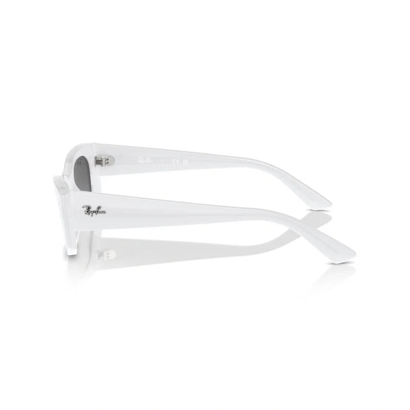 Ray Ban Eyewear & Sunglasses