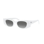 Ray Ban Eyewear & Sunglasses