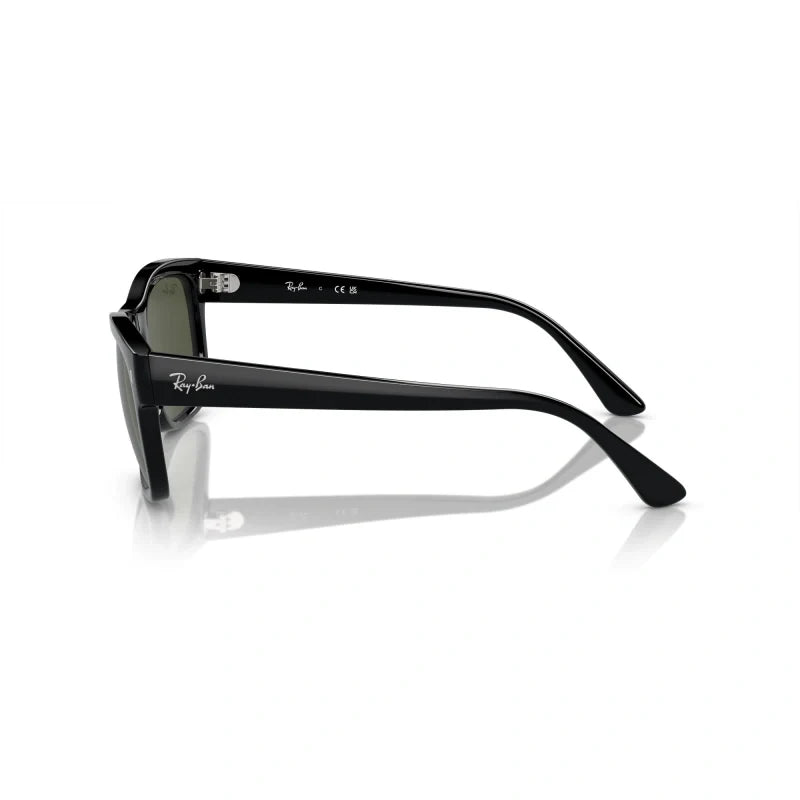 Ray Ban Eyewear & Sunglasses