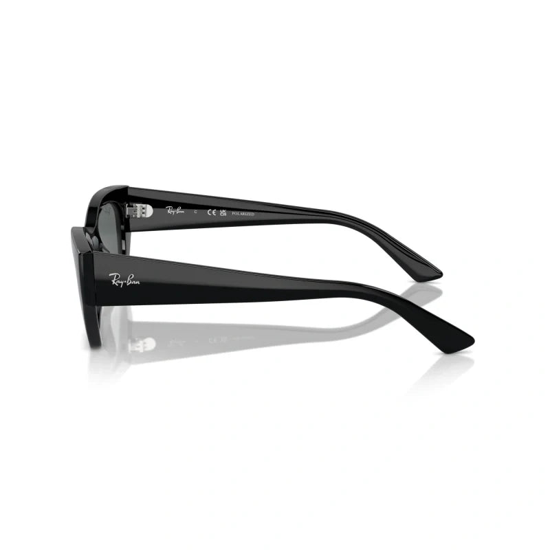 Ray Ban Eyewear & Sunglasses