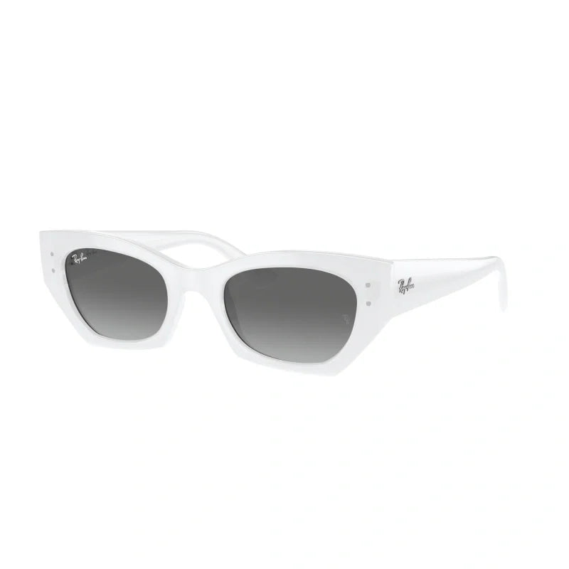 Ray Ban Eyewear & Sunglasses