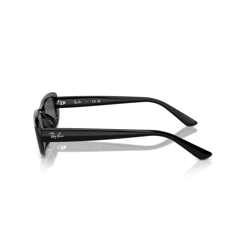 Ray Ban Eyewear & Sunglasses