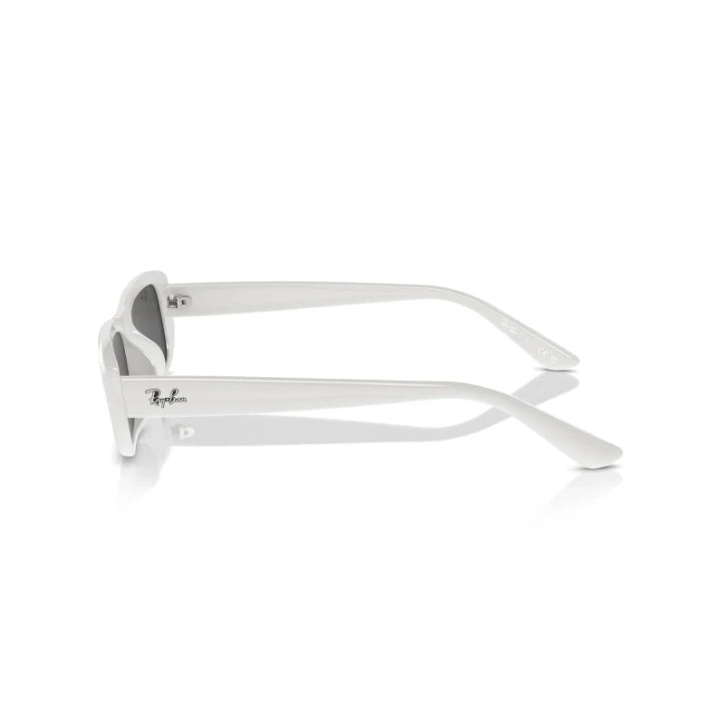 Ray Ban Eyewear & Sunglasses