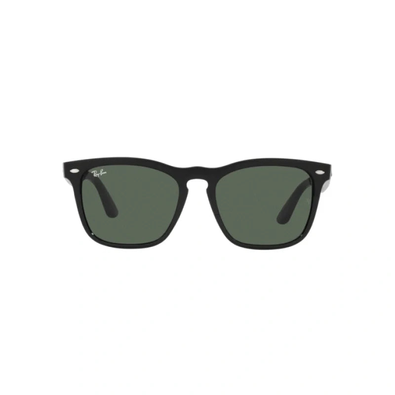 RAY BAN 4487 - Dayal Opticals   