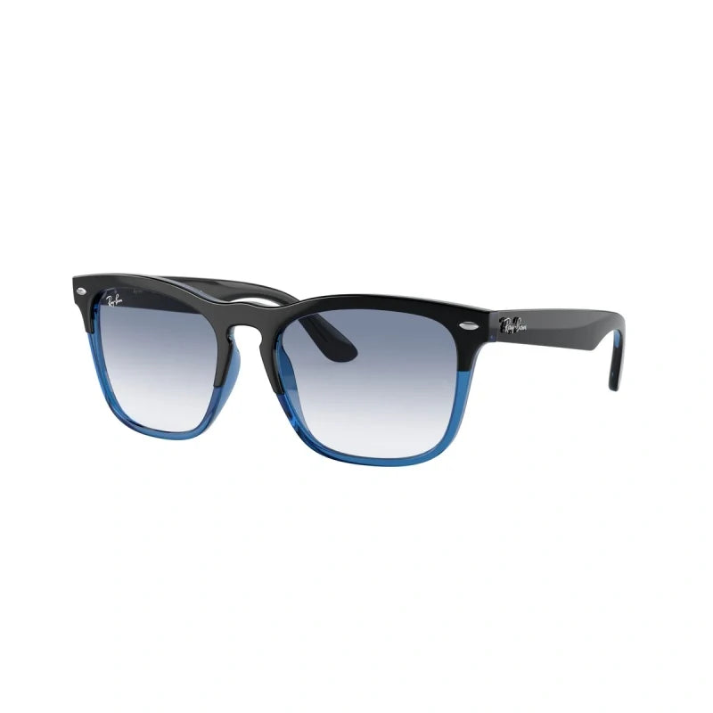 RAY BAN 4487 - Dayal Opticals   