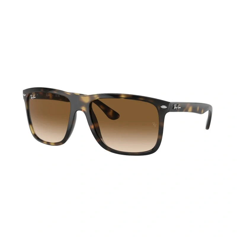 Ray Ban Eyewear & Sunglasses