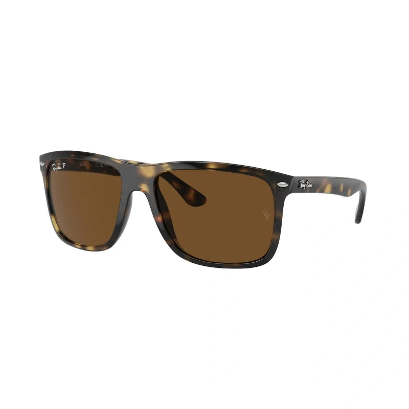 Ray Ban Eyewear & Sunglasses