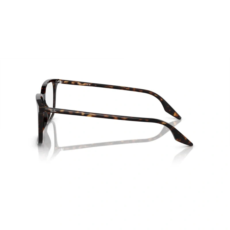 Ray Ban Eyewear & Sunglasses