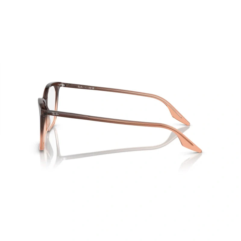 Ray Ban Eyewear & Sunglasses