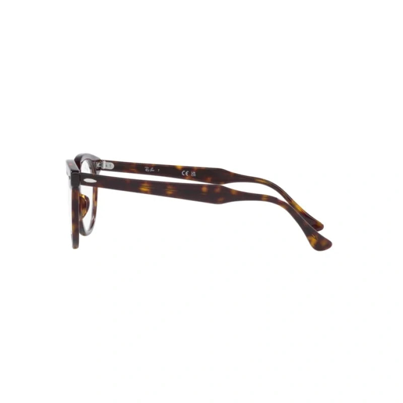 Ray Ban Eyewear & Sunglasses