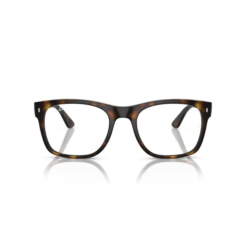 Ray Ban Eyewear & Sunglasses