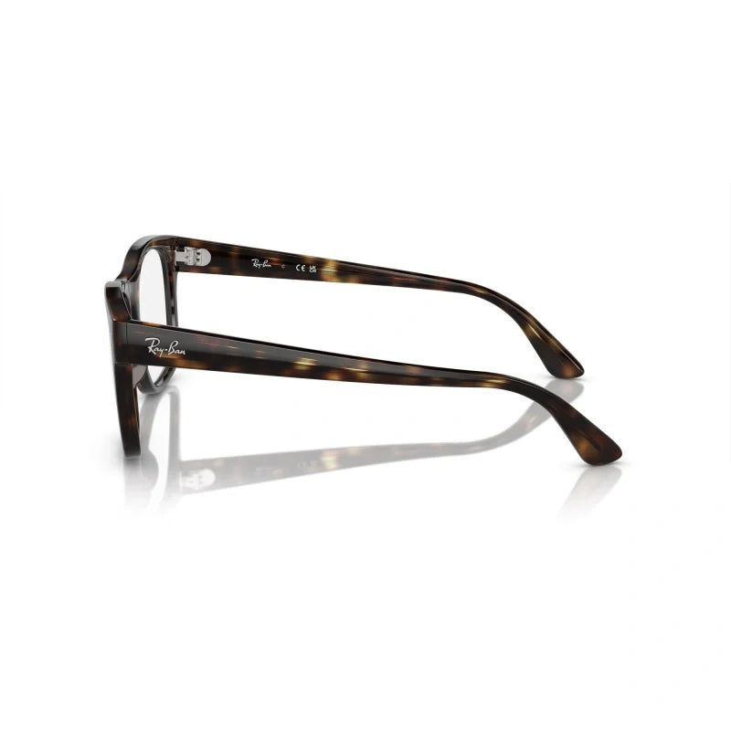 Ray Ban Eyewear & Sunglasses