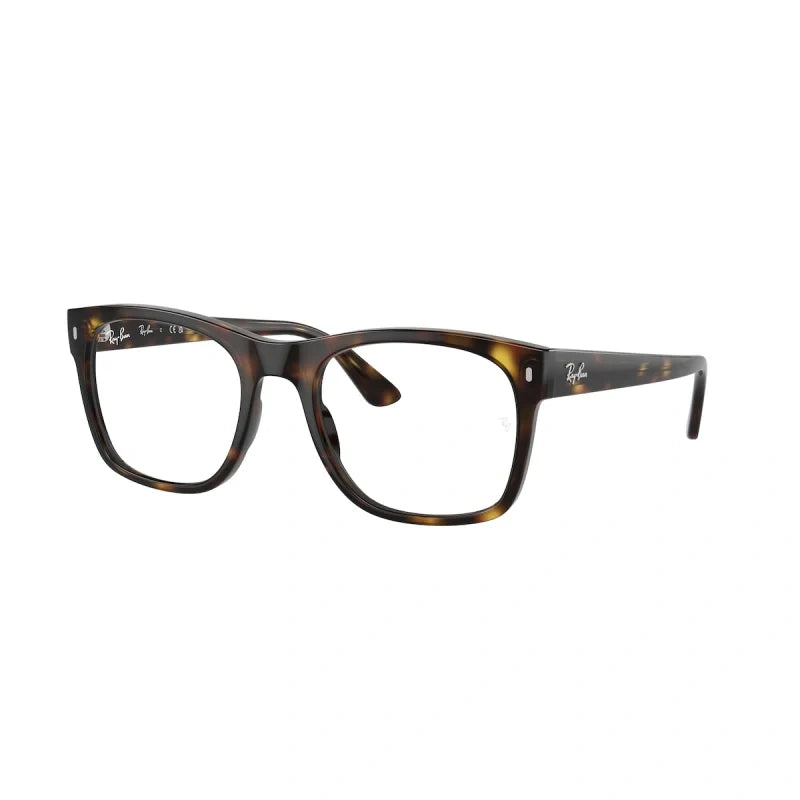 Ray Ban Eyewear & Sunglasses