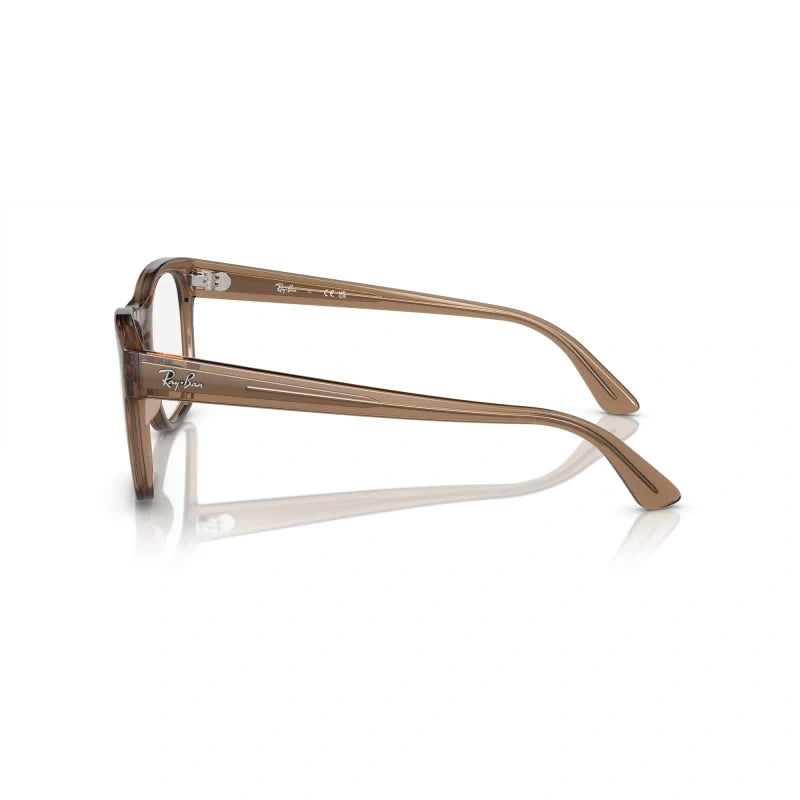 Ray Ban Eyewear & Sunglasses