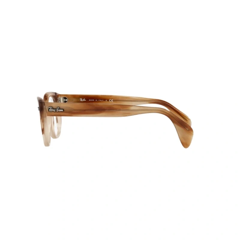 Ray Ban Eyewear & Sunglasses