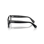 Swarovski Eyeglasses & Sunglasses