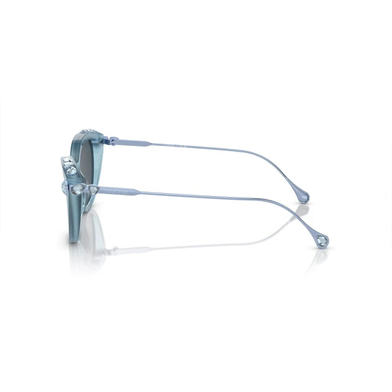 Swarovski Eyeglasses & Sunglasses