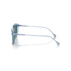 Swarovski Eyeglasses & Sunglasses