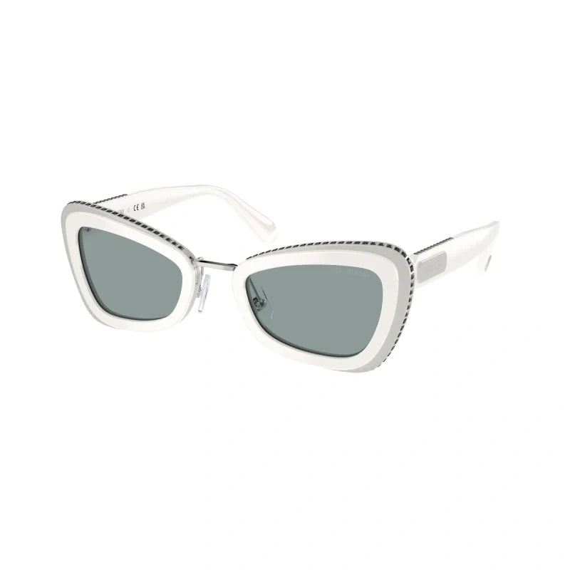 Swarovski Eyeglasses & Sunglasses