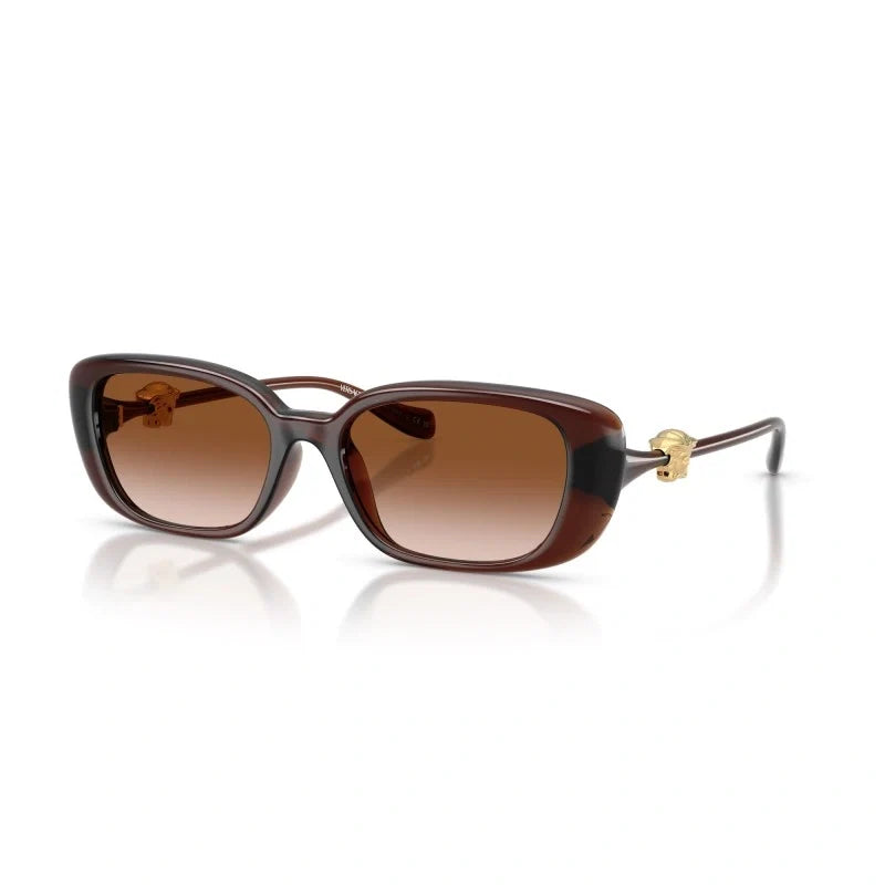 VERSACE 0VE 4504D