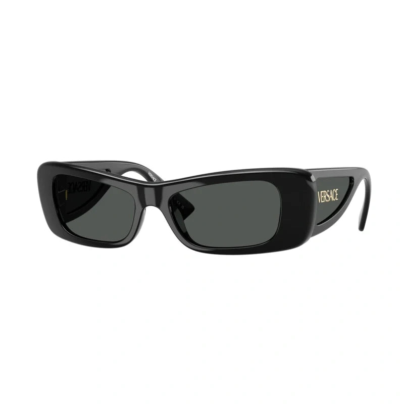 Versace 4481 Rectangle   Full rim Sunglasses